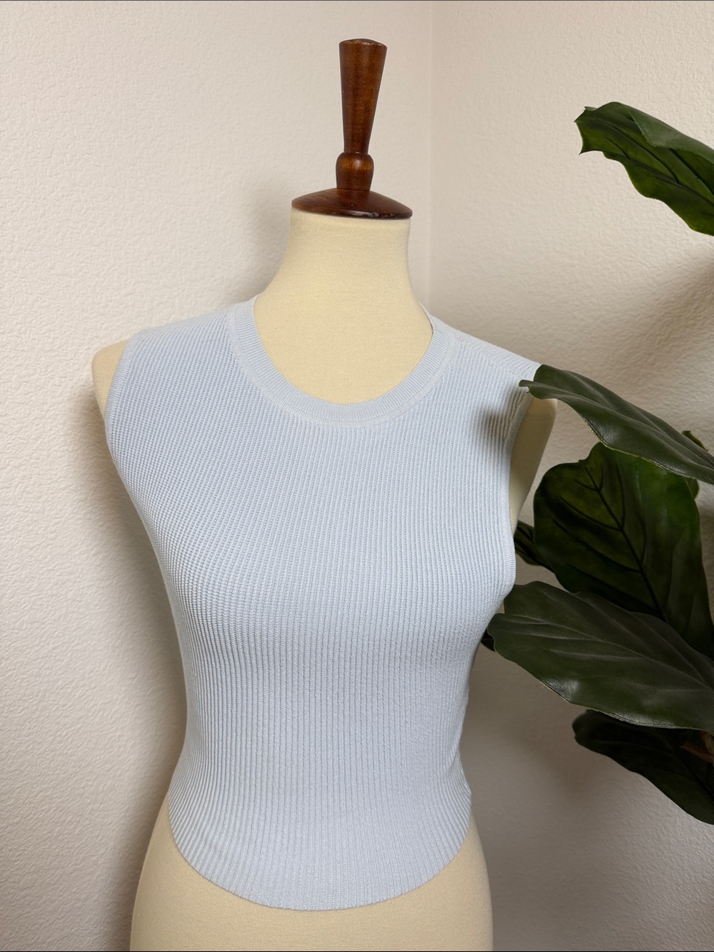 Aritzia Ribbed Knit Crew Neck